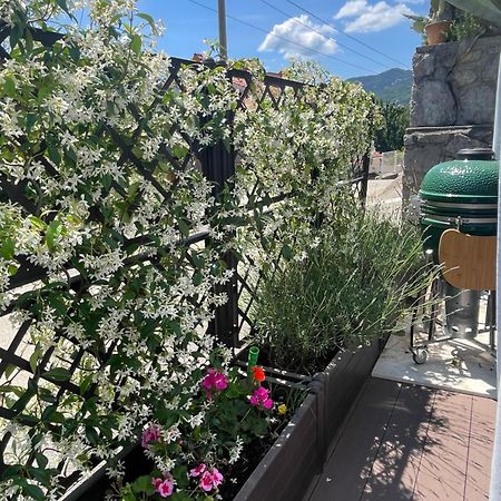 Apartment Sonia Ičići エクステリア 写真