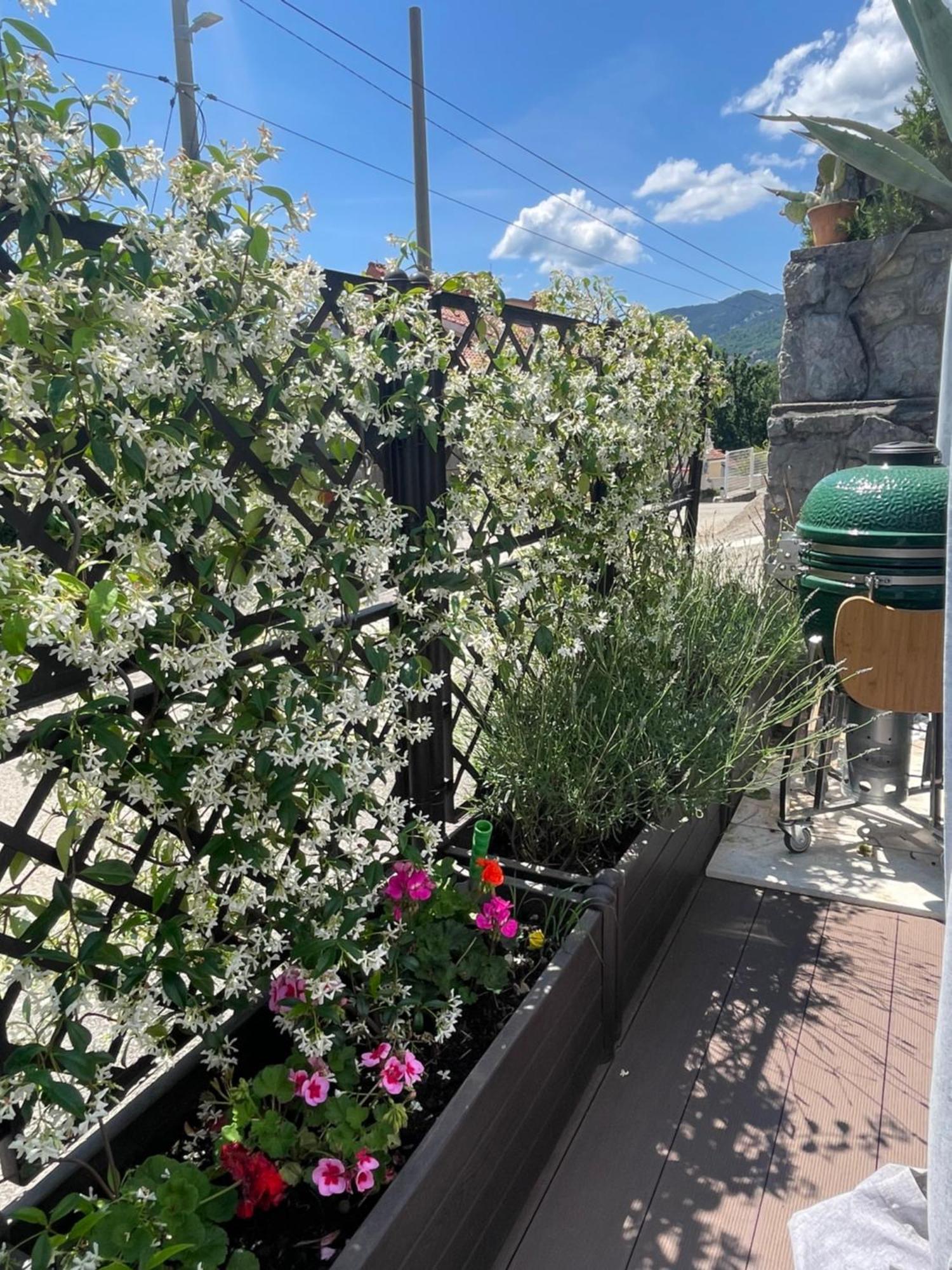 Apartment Sonia Ičići エクステリア 写真